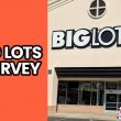 Big Lots Survey
