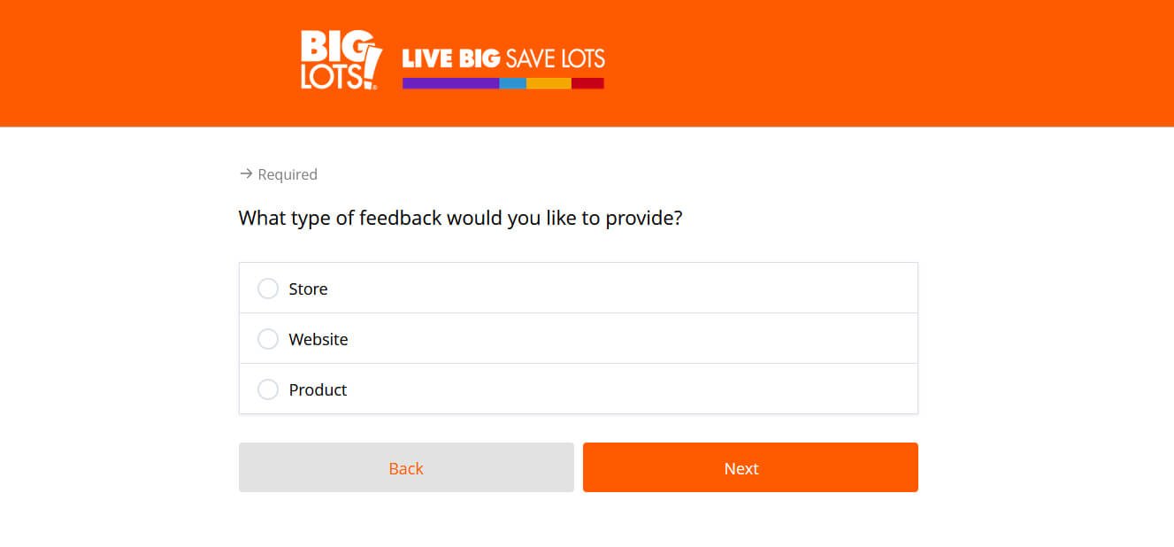 BigLots Store Website Product Survey